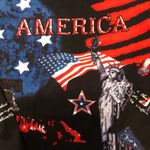 Womens COLLECTIONS ETC Patriotic America Shirt Size Medium 100% Cotton Photo 2