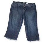 Paris Blues Vintage y2k cropped jeans Photo 0