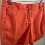 Ann Taylor LOFT Summer Shorts Photo 1