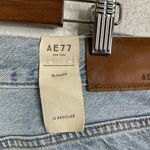 American Eagle  AE77 NWT Premium Slouch Jean Size 12 Photo 7
