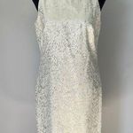Maggy London Elegant pale green Dress with Gold Accents and beaded neckline size 4 like new Photo 0