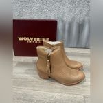 Wolverine NEW  Ella Derek Lam Color Beige Photo 2