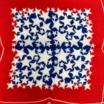 Bicentennial Scarf Red Photo 4
