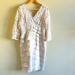 Adrianna Papell  Long Shutter Pleat Shimmer Dress Lace Bodice Womens‎ Size 10 Photo 2