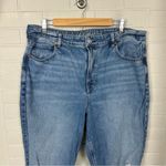 American Eagle  Distressed Knee Mom Jeans Size 18 Long Photo 3