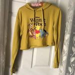 Disney  Winnie the Pooh and friends Cropped Hoodie sweatshirt size xs Photo 0