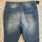 Aphrodite  Fringe High Rise Jeans Size 2X Photo 8