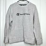 Champion  Grey Pullover Long Sleeve Sweater Size Large Photo 0