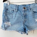 BDG Light Blue Distressed Raw Hem Button Fly Jean Shorts Size 29 Photo 1