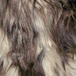 Almost Famous Fur Vest Knit Back Black Grey White Photo 3