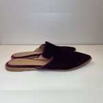 Madewell Women’s Gemma Mule Velvet Purple with Pointed Toe Shoes Size 6 Photo 5