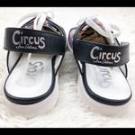 Circus by Sam Edelman Circus Sam Edelman Murray slingbacks size 7.5 Photo 3