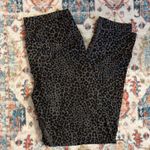 Evolution and creation Cheetah Print Leggings Photo 0