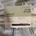 Liz Claiborne  Green Stone Stripe Linen Crop Pants Size L New Photo 5