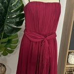 Max and Cleo  • Katrina mini Photo 4