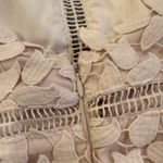 Bardot  Gemma Lace Halter‎ Dress in Light Champagne Pink XS Photo 8