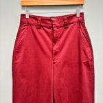 Cotton Citizen  London Relaxed Wide Leg Pant in Red Wine 27 Photo 5