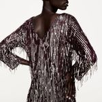 ZARA NWT Festive Burgundy Fringed Sequin Dress Photo 0