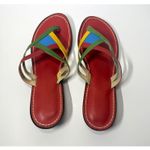 Bernardo  Multicolor Leather Thong Sandals Size 10 Slip On Flat Strappy Rainbow Photo 3