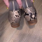 1. State  snake skin leather open side formal flats Photo 4