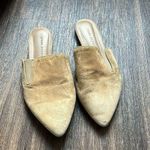 Jenni Kayne Jenni Kanye Pointed Mule Photo 0