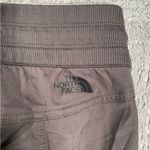 The North Face  women’s Gray Pants Photo 7