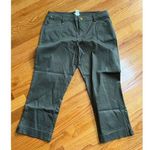 Cache olive green stretch capri jeans pants size 10 gold tone trim Perfect Photo 0