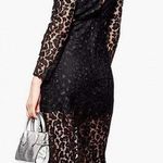 Topshop Black Cut Out Lace Floral Midi Bodycon Dress Photo 1
