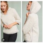 Anthropologie Akemi + Kin Teddy Hoodie Photo 1