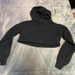 Aritzia Cropped Hoodie Photo 0