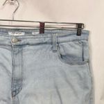 A Beautiful Soul Plus Size 24 Denim‎ Shorts Light Blue Distressed High Rise 1199 Photo 5