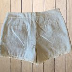 Kaari Blue Dress Shorts Curvy Chino Beige Womens 18 NWT Photo 1