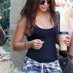 Wildfox Friday Night Distressed Denim Shorts Photo 0