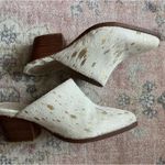 Coconuts by Matisse  cow print mules Photo 2