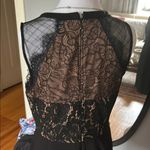 Greylin Greilyn .Black and Lace Sleeveless Dress Photo 3