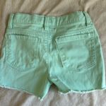 Blue Spice  Mint Jean Shorts Photo 1