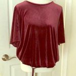 Loft Cutest Maroon Velvet Short Sleeve Top Photo 0