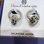 House of Harlow 1960 | Silver & Dalmatian Jasper Hoops Photo 6
