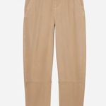 Everlane NEW  The Tencel Relaxed Chino Pants in Dark Khaki Photo 1
