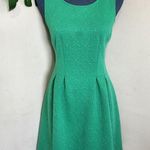 Blue Rain  Green Jacguard Fit and Flare Dress Photo 0
