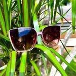 Tahari  Large Frame Sunglasses TH769 Photo 0