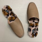 Zac Posen  Shoe Winfield Faux Fur Shearling Mule Dune Nappa Leather Flat 8 NIB Photo 0
