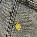 PacSun Eco Fruit Embroidered Mom Shorts Photo 3