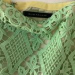 Elie Tahari Skirt Photo 2