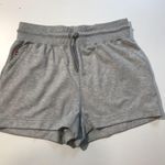 Easton x Jen Schro All Day All Night Shorts in Heather Gray Size L NWT Photo 0