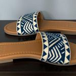 Haute Hippie Blue Slides Photo 2