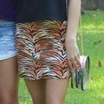 Tiger Print Skirt Photo 0