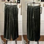 Garnet Hill  Moss Ivy Green Silk Velvet Wide Leg Pull On Pants XS Photo 1