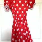 Disney Adult Minnie Mouse costume Photo 0