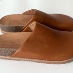 Madewell  The Layne Clog Mule leather 9 Photo 6